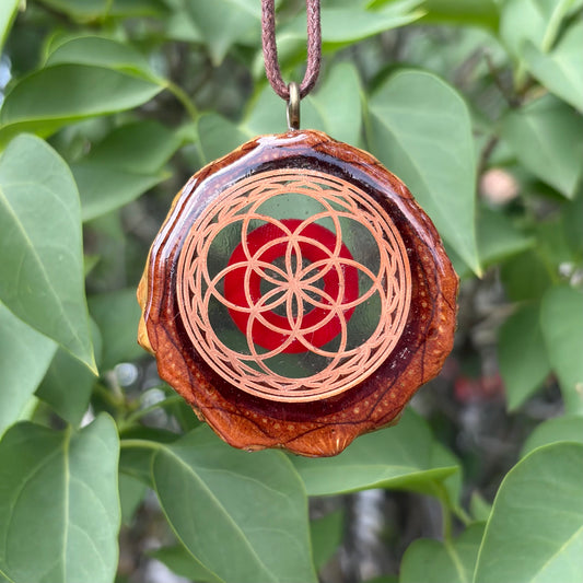 Phish Donut, Seed of Life Lotus, Gold