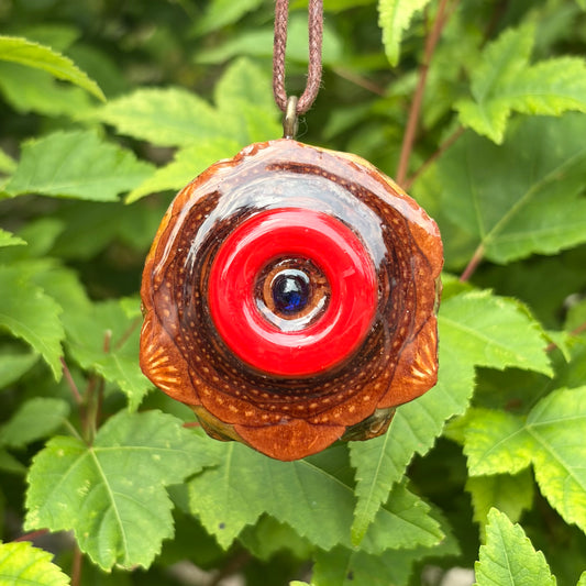 Phish Donut with Sapphire