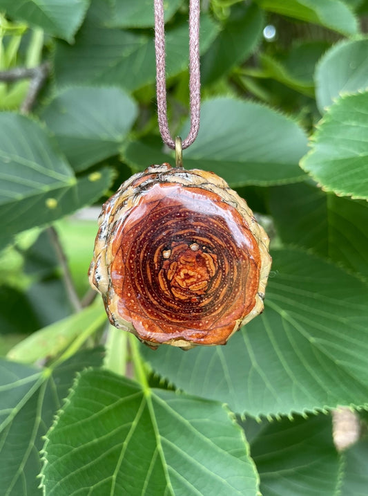 Labradorite Gold Sun