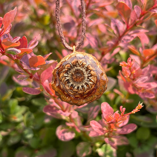 Carnelian Flower of Life Mini