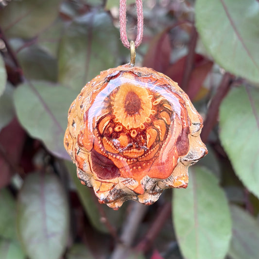 Watermelon Tourmaline, Seed of Life, Silver