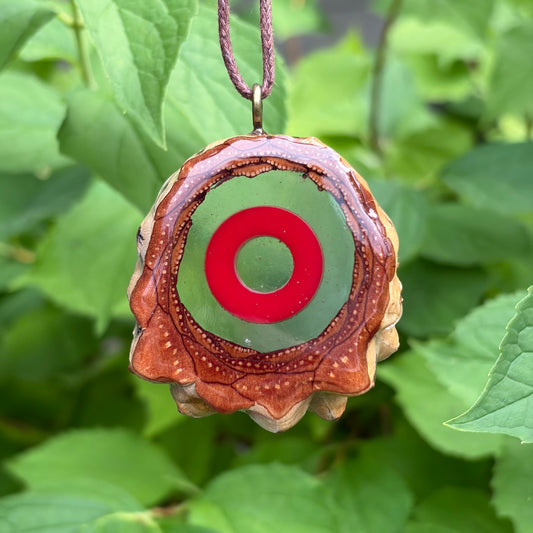 Phish Donut Hollow