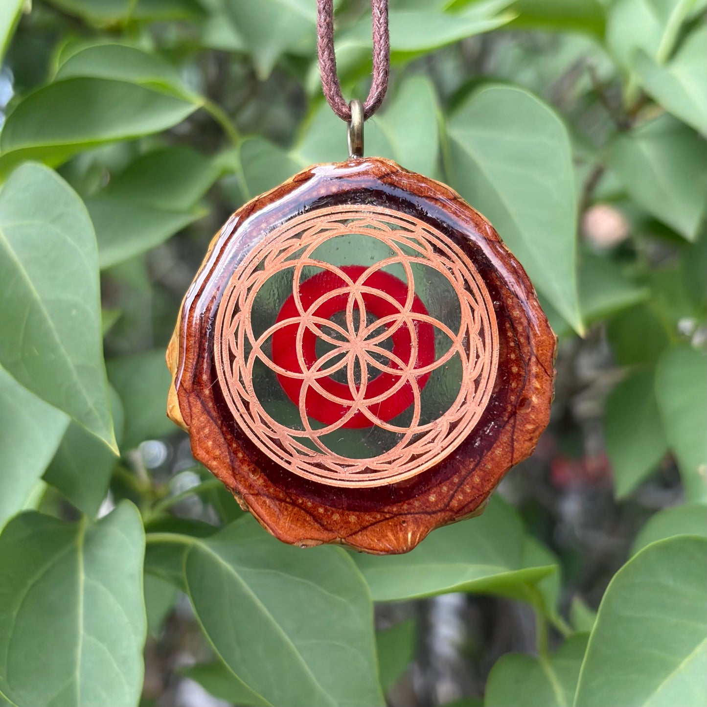 Phish Donut, Seed of Life Lotus, Gold