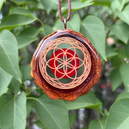 Phish Donut, Seed of Life Lotus, Gold