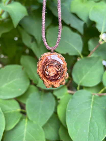 Ethiopian Black Opal Mini