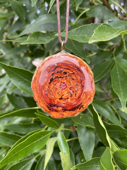 Amazonite Large Pendant