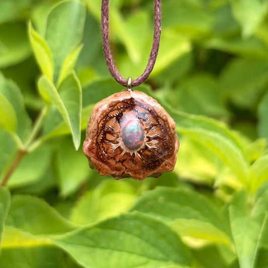 Ethiopian Black Opal Mini