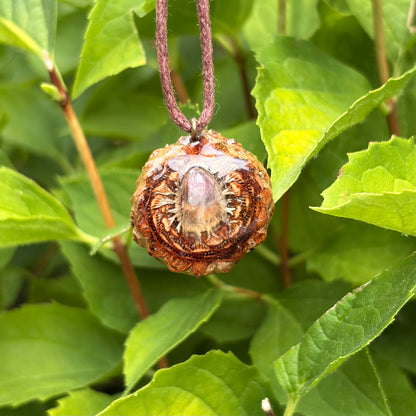 Rainbow Fluorite Mini