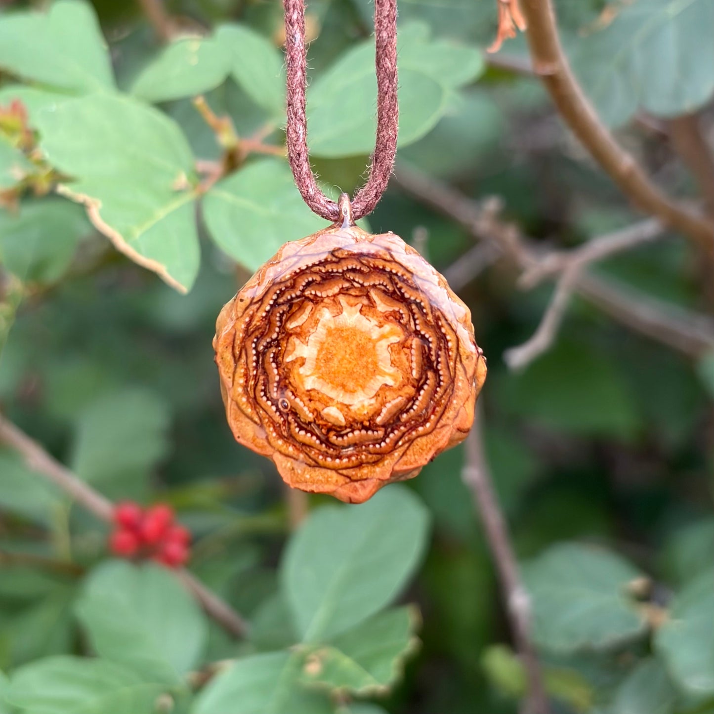 Tiger’s Eye Mini