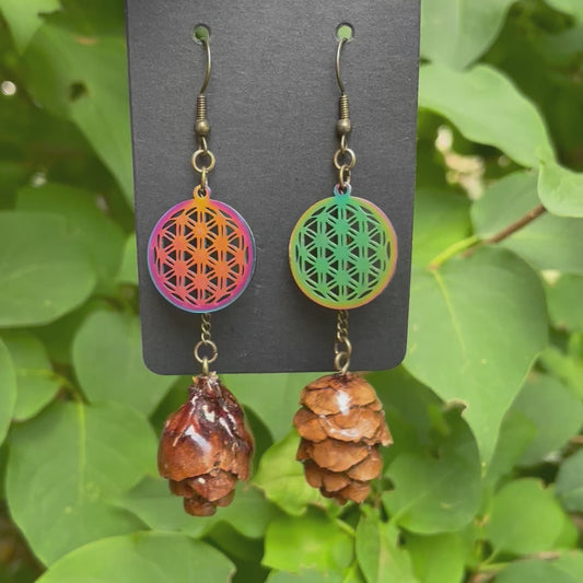Rainbow Small Flower of Life Earrings