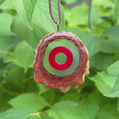Phish Donut Hollow