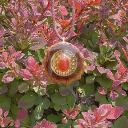 Carnelian Flower of Life Mini