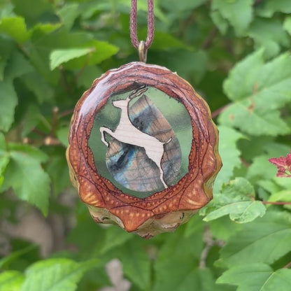 Phish Antelope & Labradorite Hollow