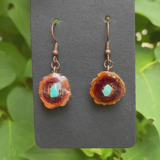 Turquoise Lodgepole Earrings