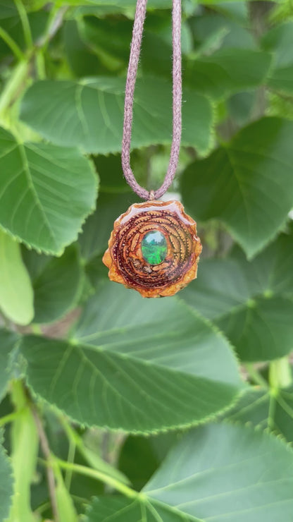 Ethiopian Black Opal Mini